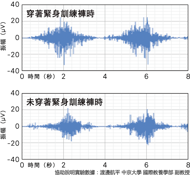 穿著緊身訓練褲時と未穿著緊身訓練褲時の、大腿二頭筋表面筋電図波形